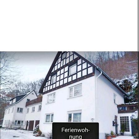 4 Erw. 1 Ki. Ski Entspannung Terasse Ausblick Schmallenberg Extérieur photo
